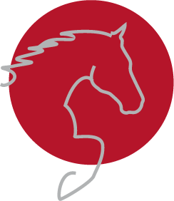 westernreiten-fassbinder-logo