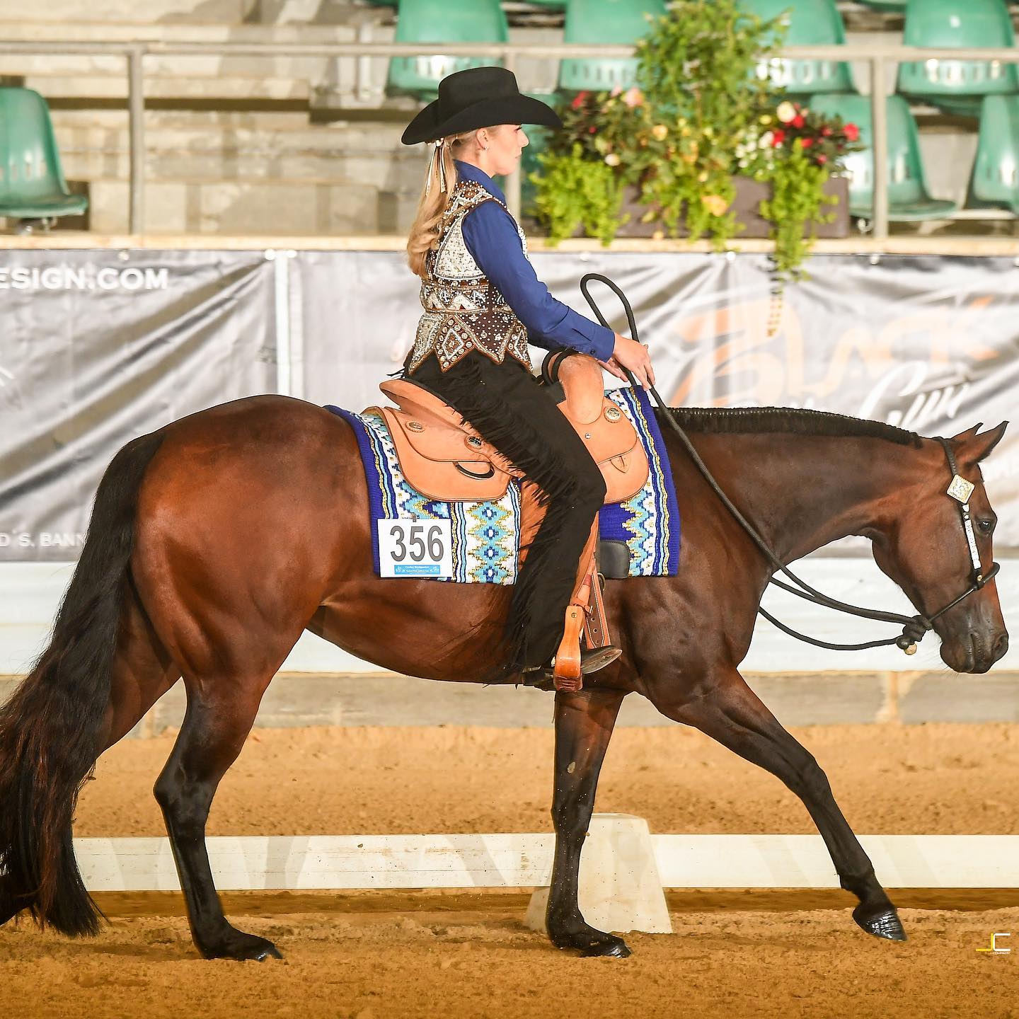 Mannschaft Erwachsene German Open 2022 EWU Sachsen e.V.
