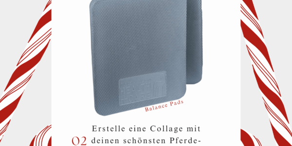 Der EWU Sachsen Adventskalender I Tag 2