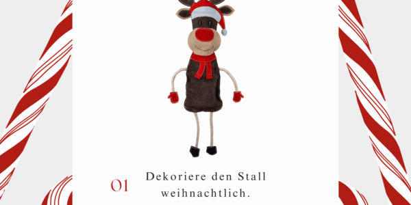Der EWU Sachsen Adventskalender I Tag 1