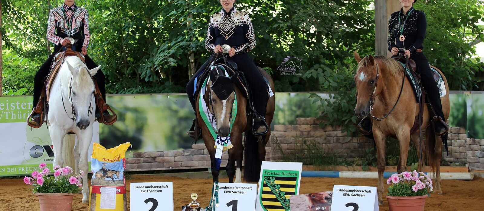 WhatsApp Image 2025-09-18 at 14.44.03